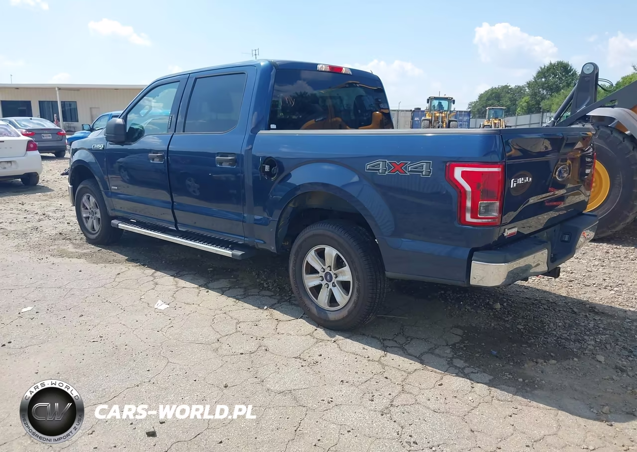 2016 Ford F-150 Lariat-Xl-Xlt VIN:1FTEW1EP1GKE11969 - 3