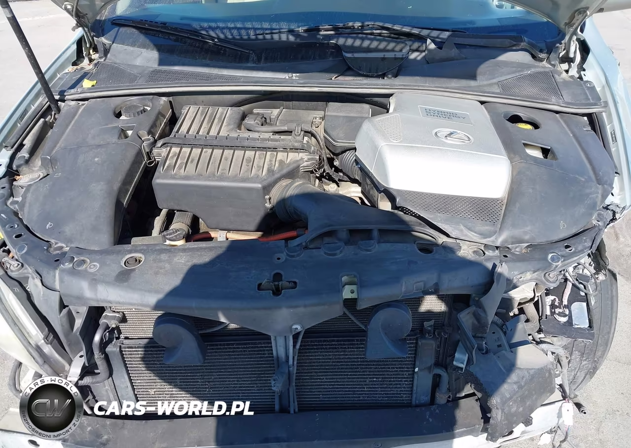 2006 Lexus Rx 400H VIN:JTJHW31U260019062 - 10