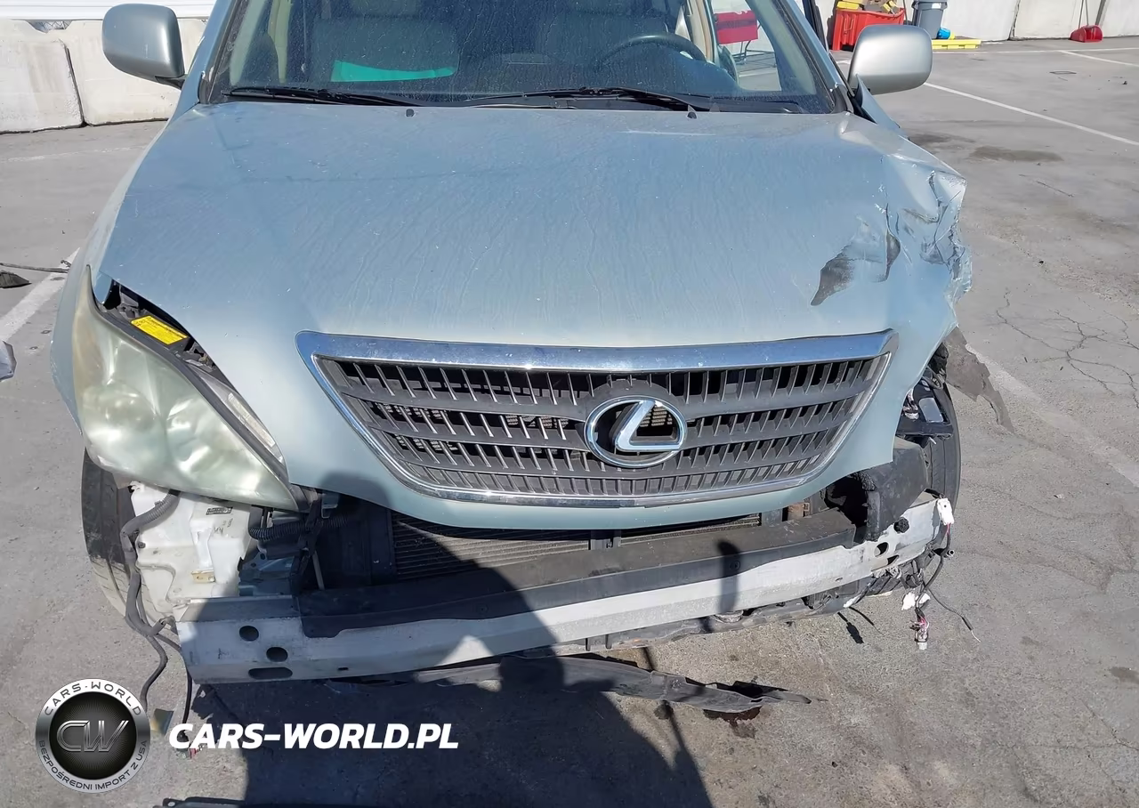 2006 Lexus Rx 400H VIN:JTJHW31U260019062 - 14