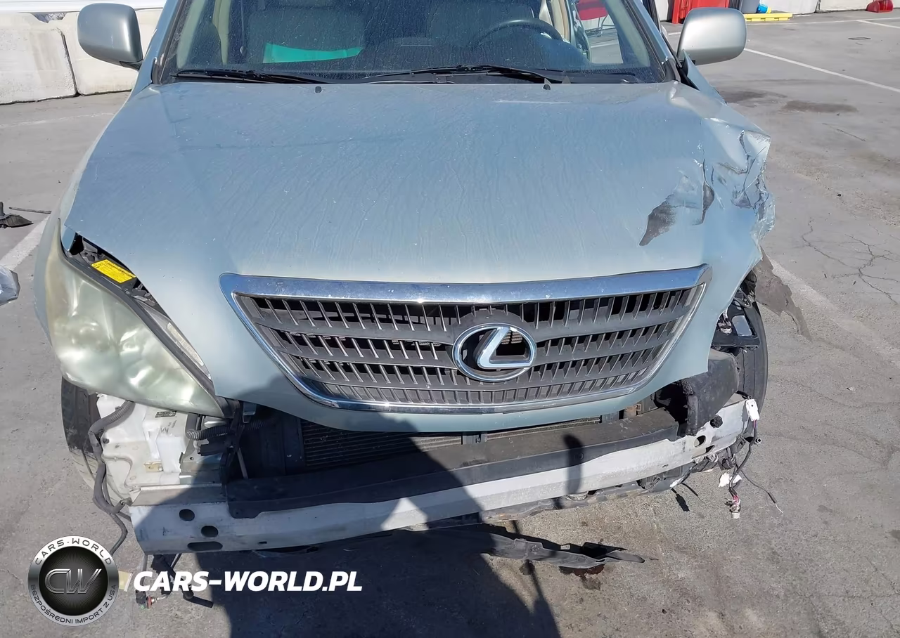 2006 Lexus Rx 400H VIN:JTJHW31U260019062 - 6