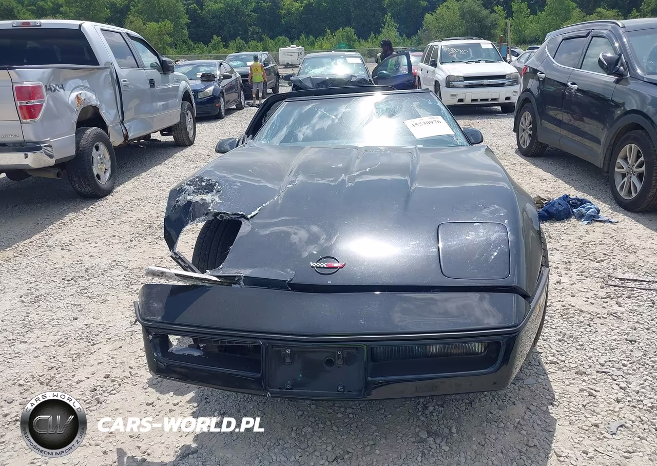 1984 Chevrolet Corvette VIN:1G1AY0785E5109209 - 13