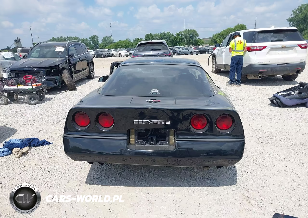 1984 Chevrolet Corvette VIN:1G1AY0785E5109209 - 17