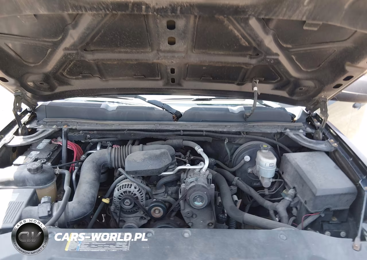2009 Chevrolet Silverado 1500 Work Truck VIN:1GCEC14X49Z188119 - 10