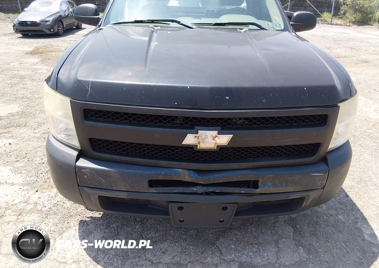 2009 Chevrolet Silverado 1500 Work Truck VIN:1GCEC14X49Z188119 - 6