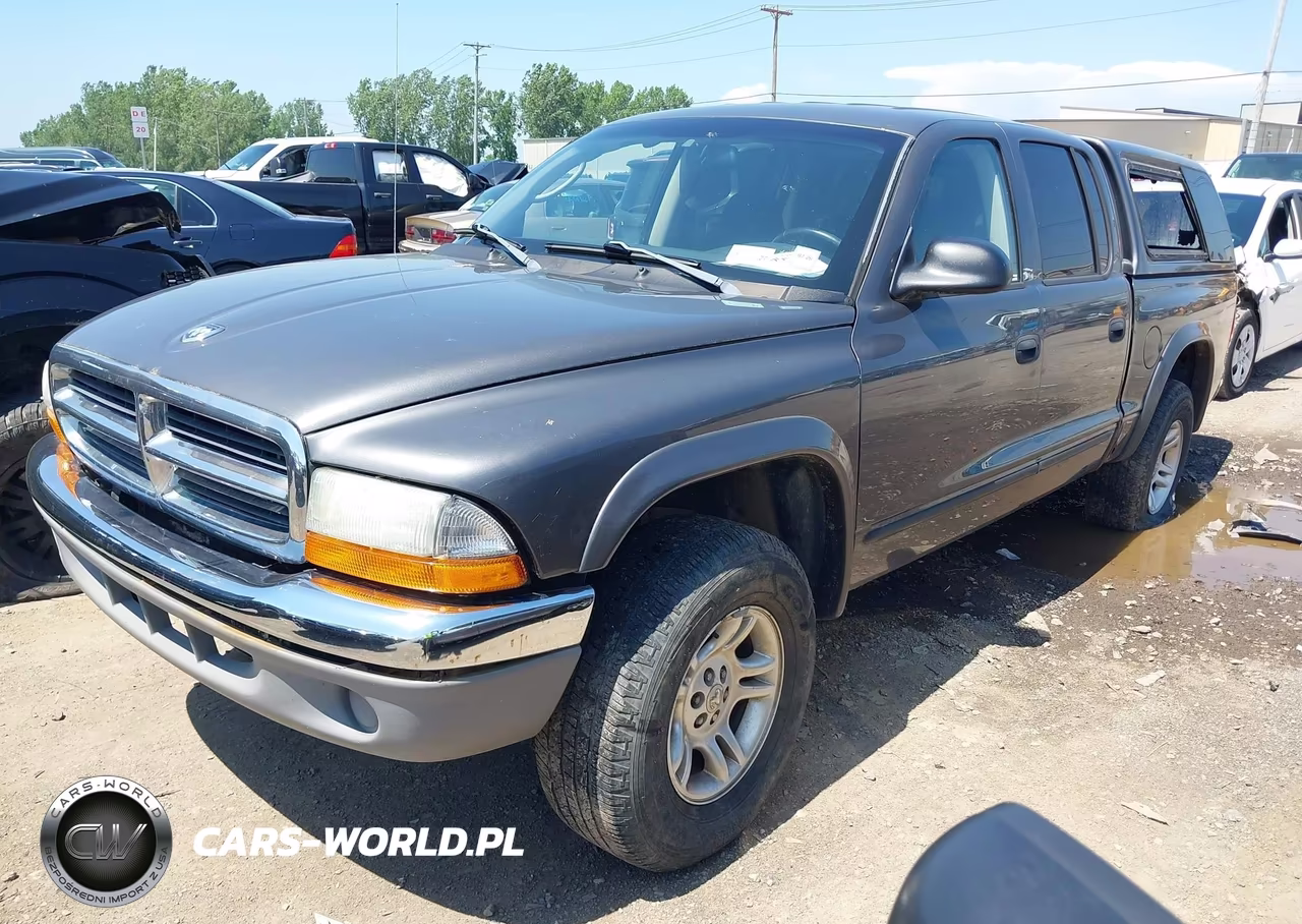 2003 Dodge Dakota Slt VIN:1D7HG48N33S185973 - 2