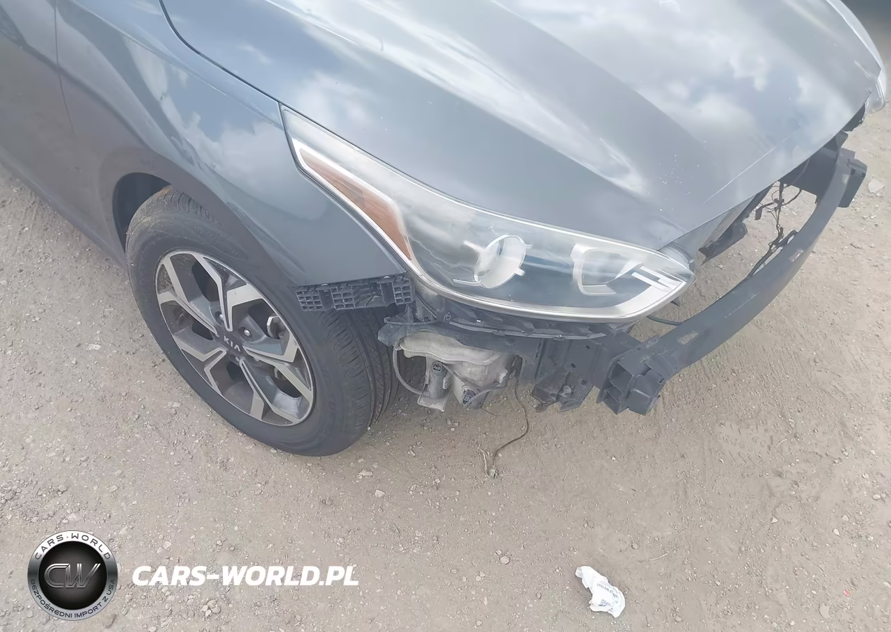 2019 Kia Forte Lxs VIN:3KPF24AD0KE126060 - 16