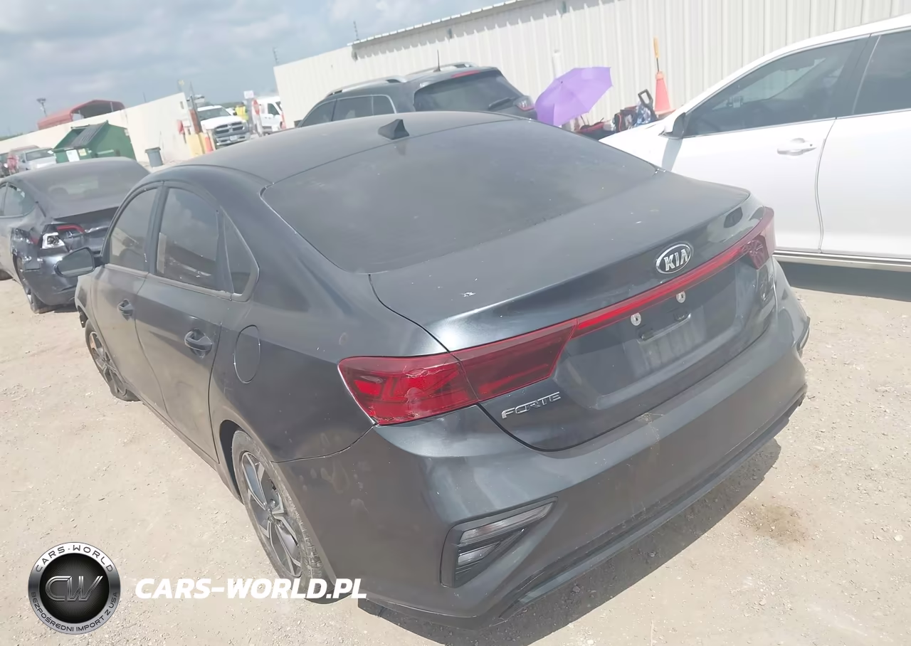 2019 Kia Forte Lxs VIN:3KPF24AD0KE126060 - 3