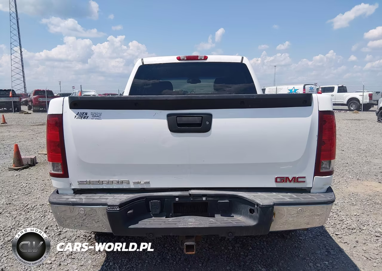 2009 GMC Sierra 1500 Sle VIN:3GTEK23M89G167631 - 17