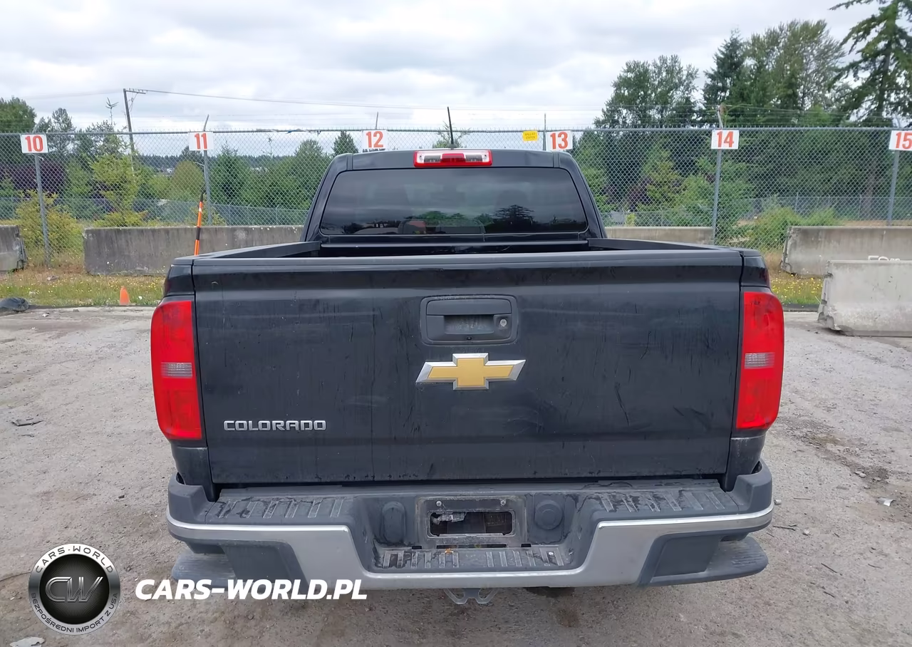 2017 Chevrolet Colorado 4Wd Wt VIN:1GCHTBEA6H1310361 - 17