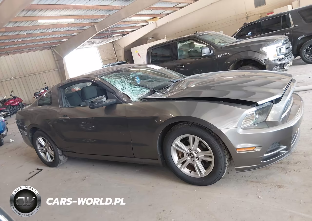 2014 Ford Mustang VIN:1ZVBP8AM1E5330354 - 13