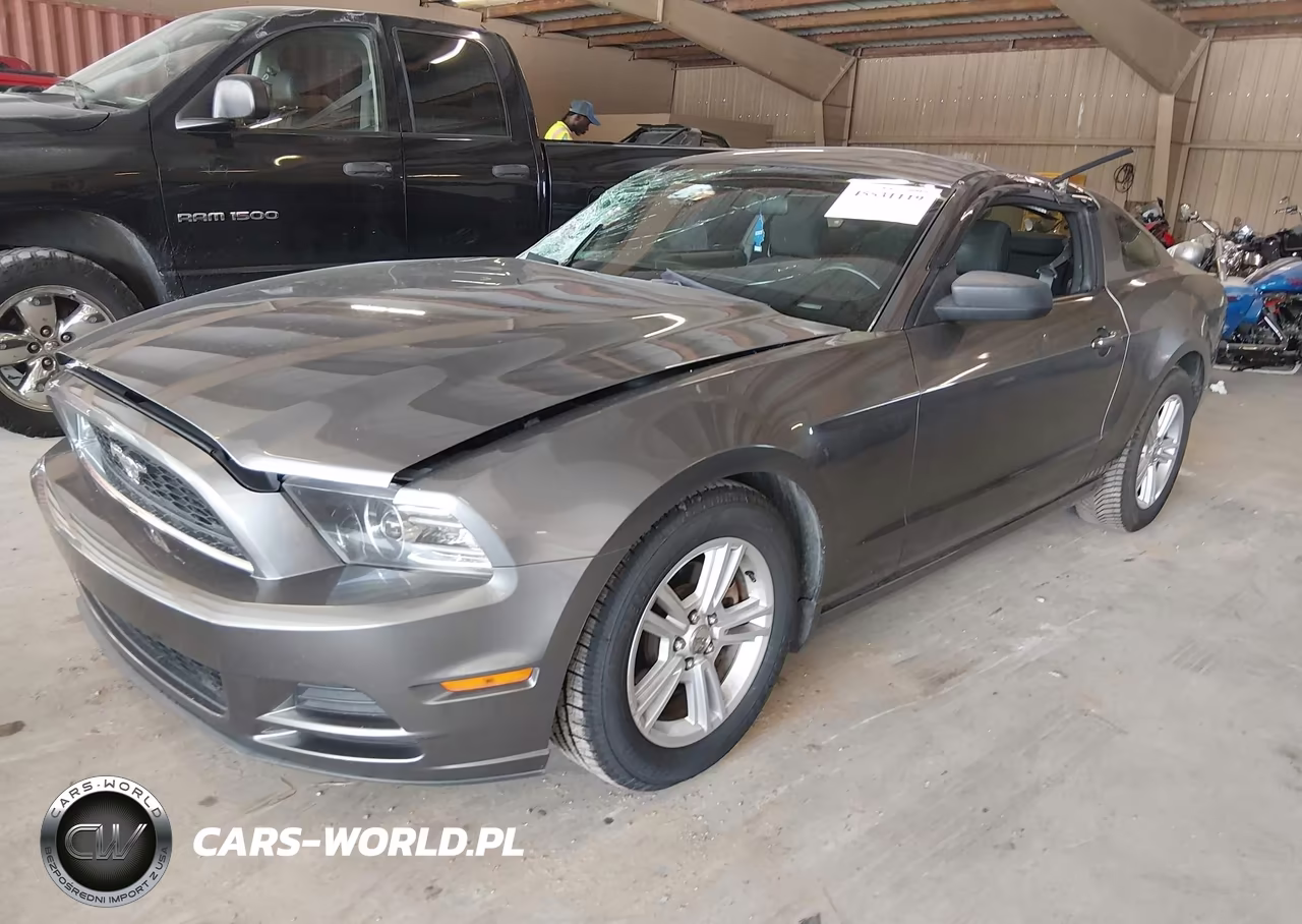 2014 Ford Mustang VIN:1ZVBP8AM1E5330354 - 2