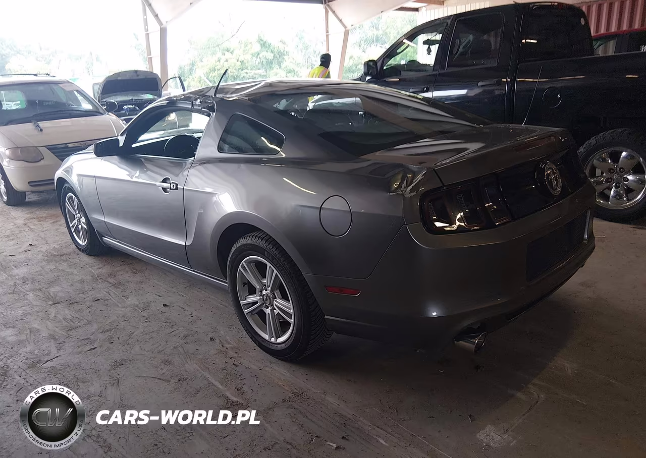 2014 Ford Mustang VIN:1ZVBP8AM1E5330354 - 3
