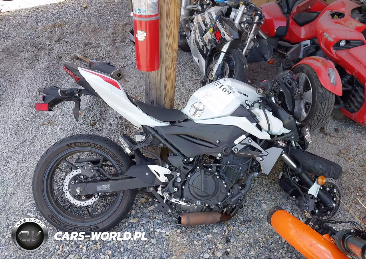 2023 Kawasaki Er400 D VIN:JKAERKD16PDAM0304 - 13