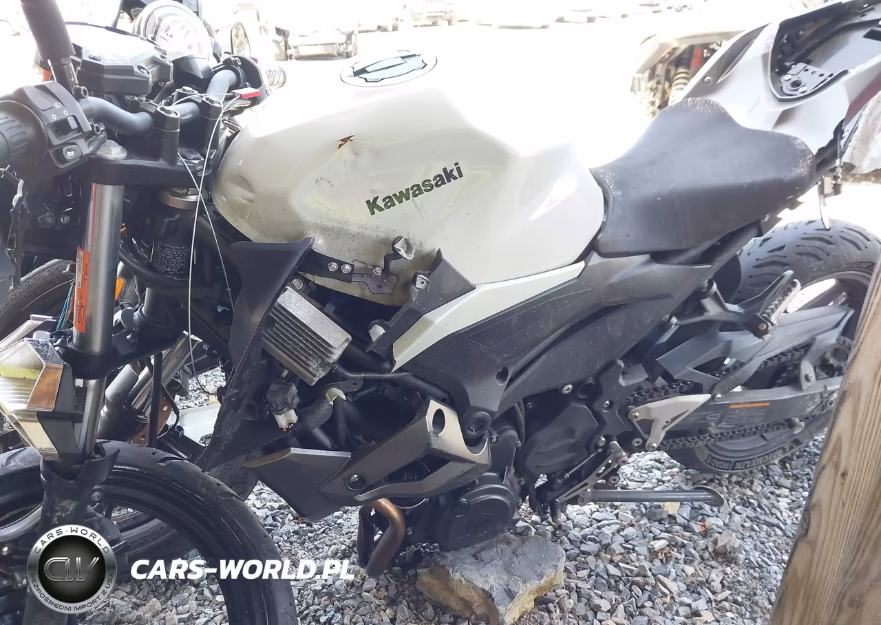 2023 Kawasaki Er400 D VIN:JKAERKD16PDAM0304 - 18