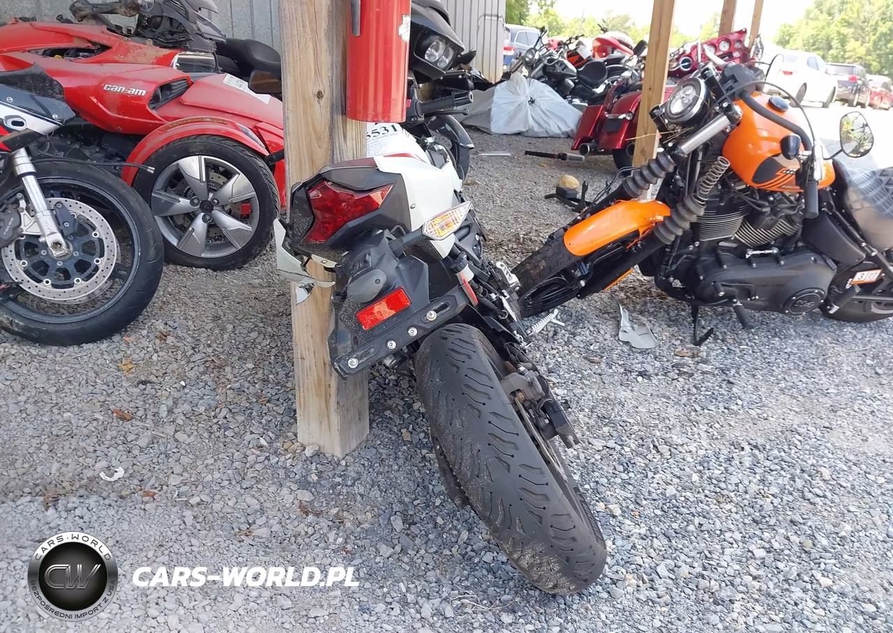 2023 Kawasaki Er400 D VIN:JKAERKD16PDAM0304 - 6