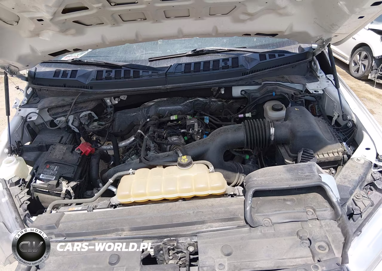 2019 Ford F-150 Xl VIN:1FTEW1EP5KKC69120 - 10