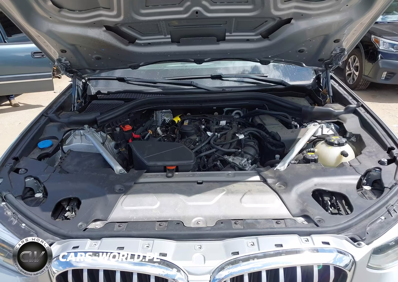 2021 BMW X3 Sdrive30I VIN:5UXTY3C05M9E48398 - 10
