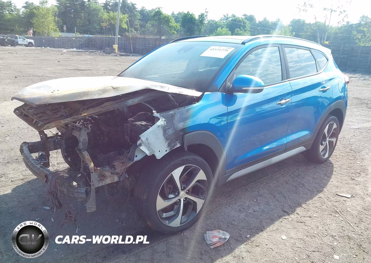 2018 Hyundai Tucson Limited VIN:KM8J3CA27JU699551 - 2