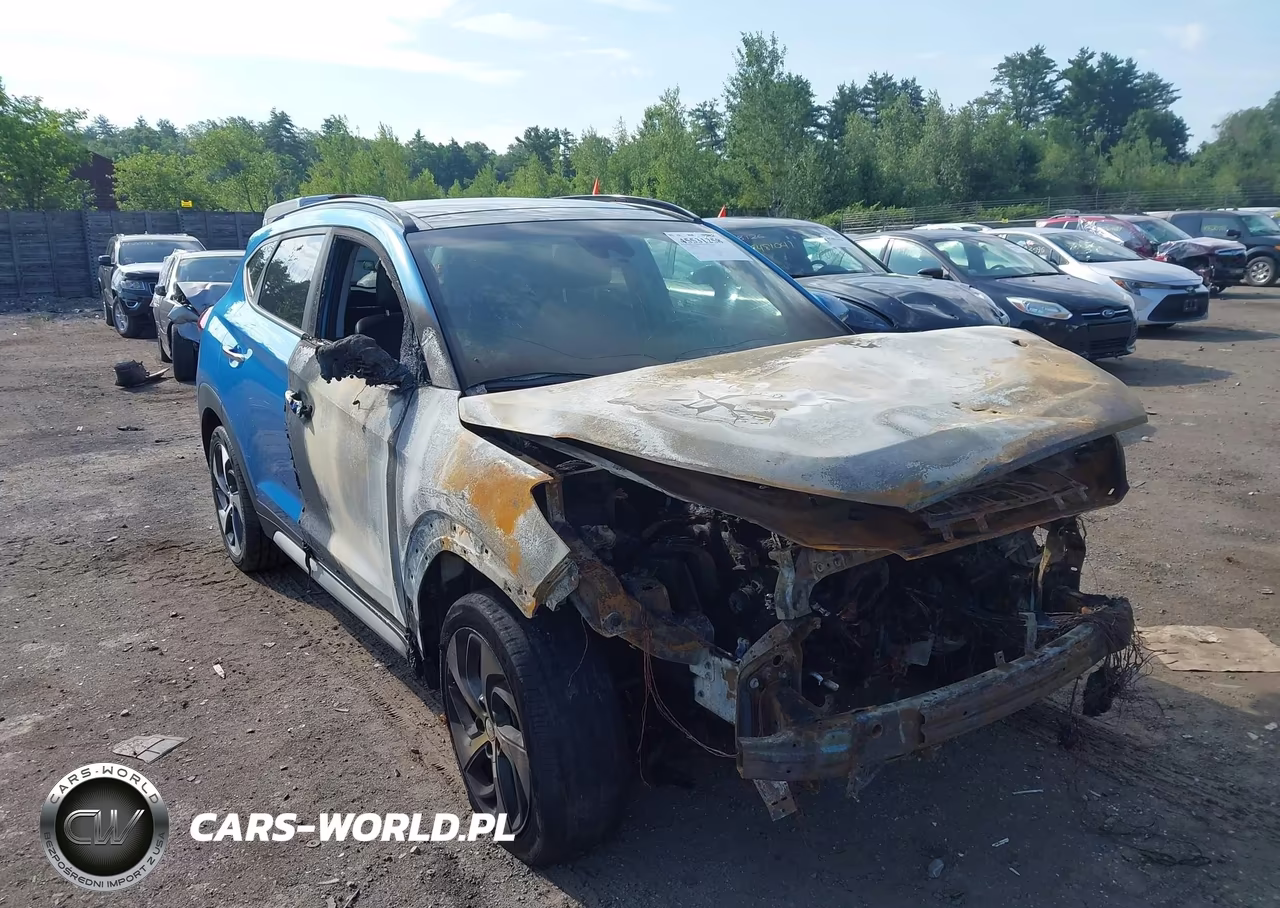 2018 Hyundai Tucson Limited VIN:KM8J3CA27JU699551 - 6