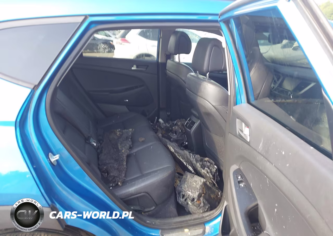 2018 Hyundai Tucson Limited VIN:KM8J3CA27JU699551 - 8