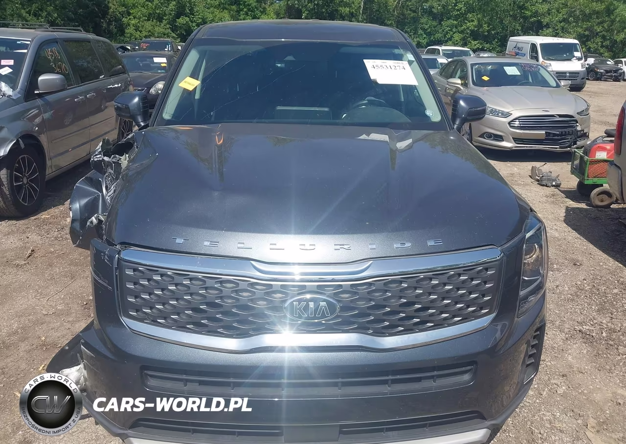 2020 Kia Telluride Lx VIN:5XYP24HC5LG093336 - 12