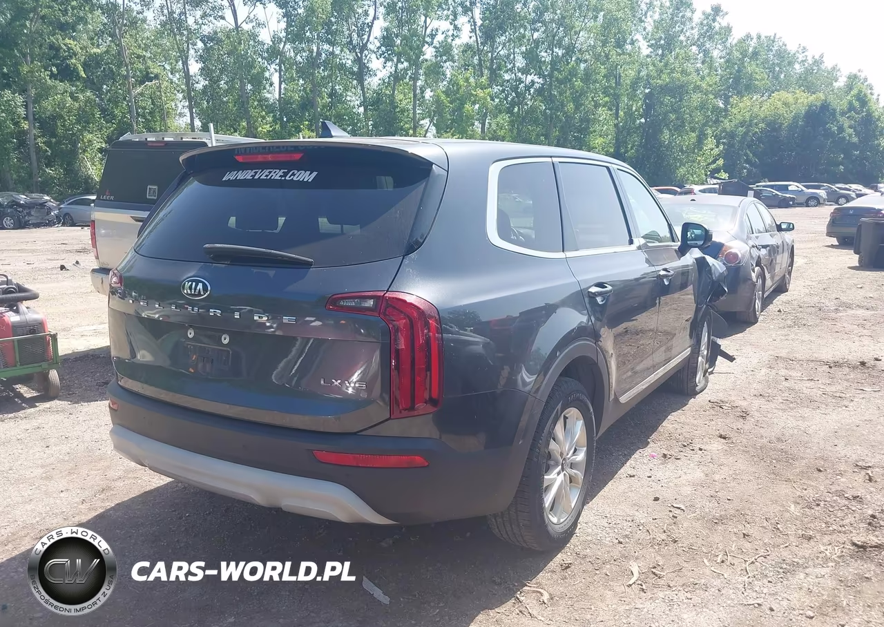 2020 Kia Telluride Lx VIN:5XYP24HC5LG093336 - 4