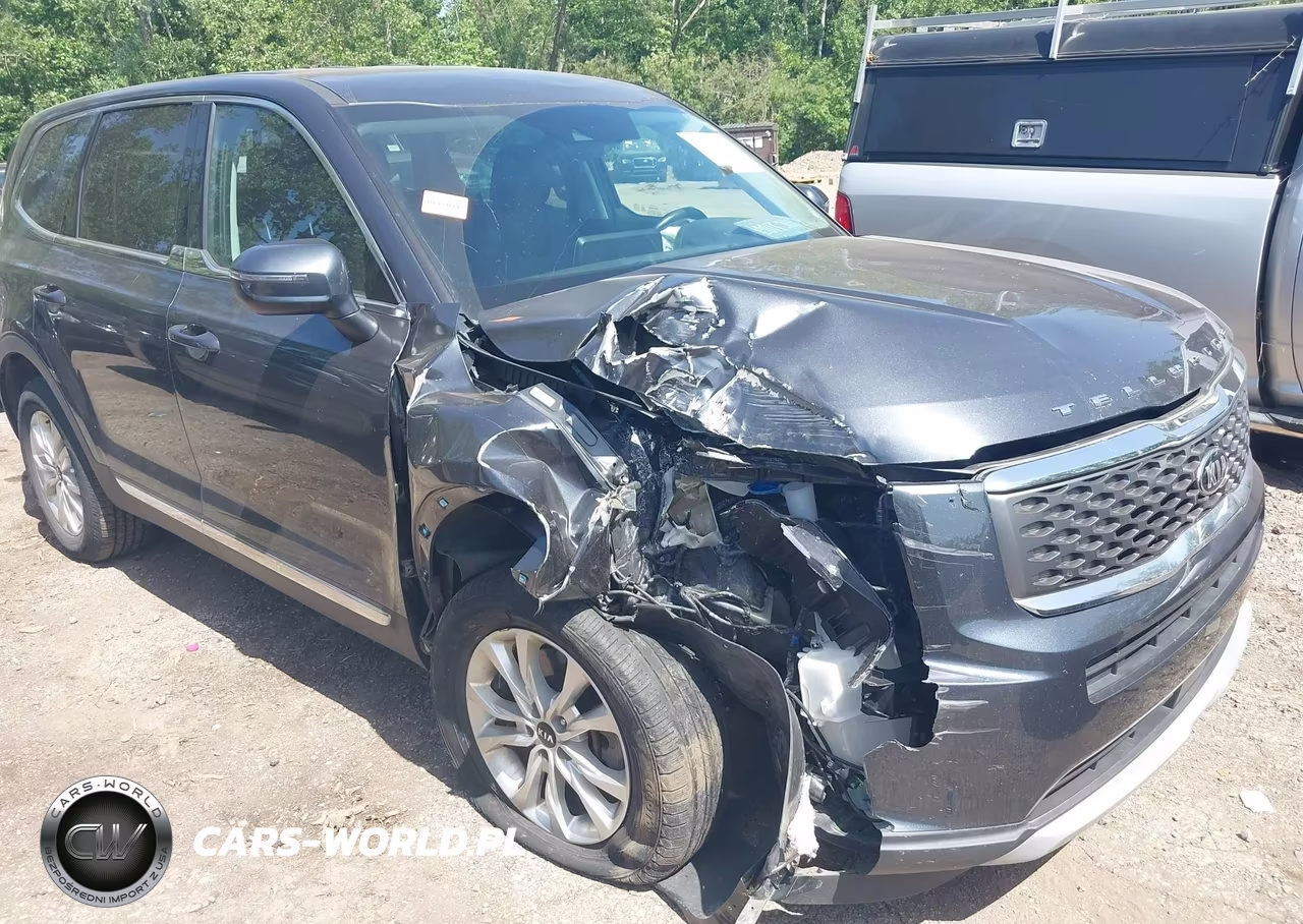 2020 Kia Telluride Lx VIN:5XYP24HC5LG093336 - 6