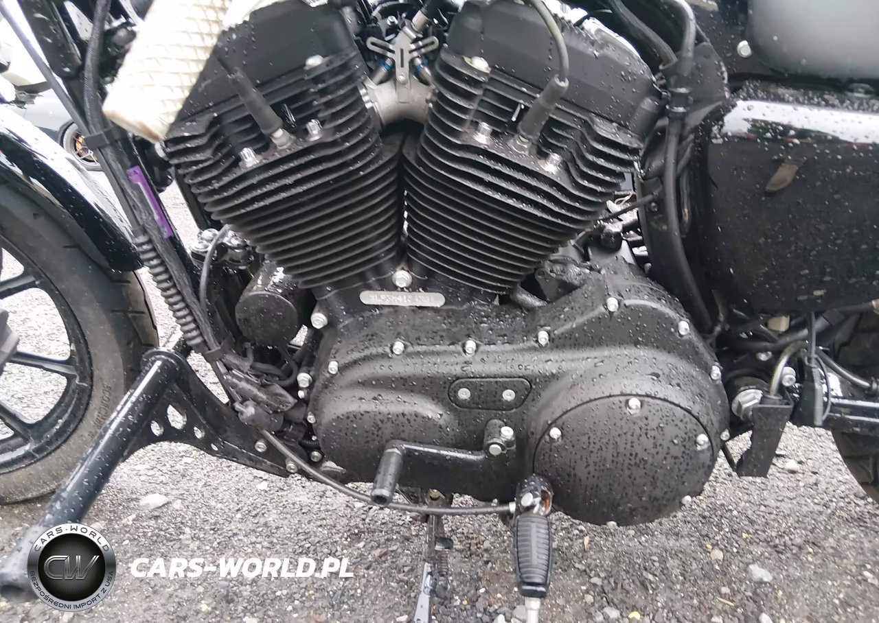 2021 Harley-Davidson Xl1200 Ns VIN:1HD1LP318MB415438 - 9