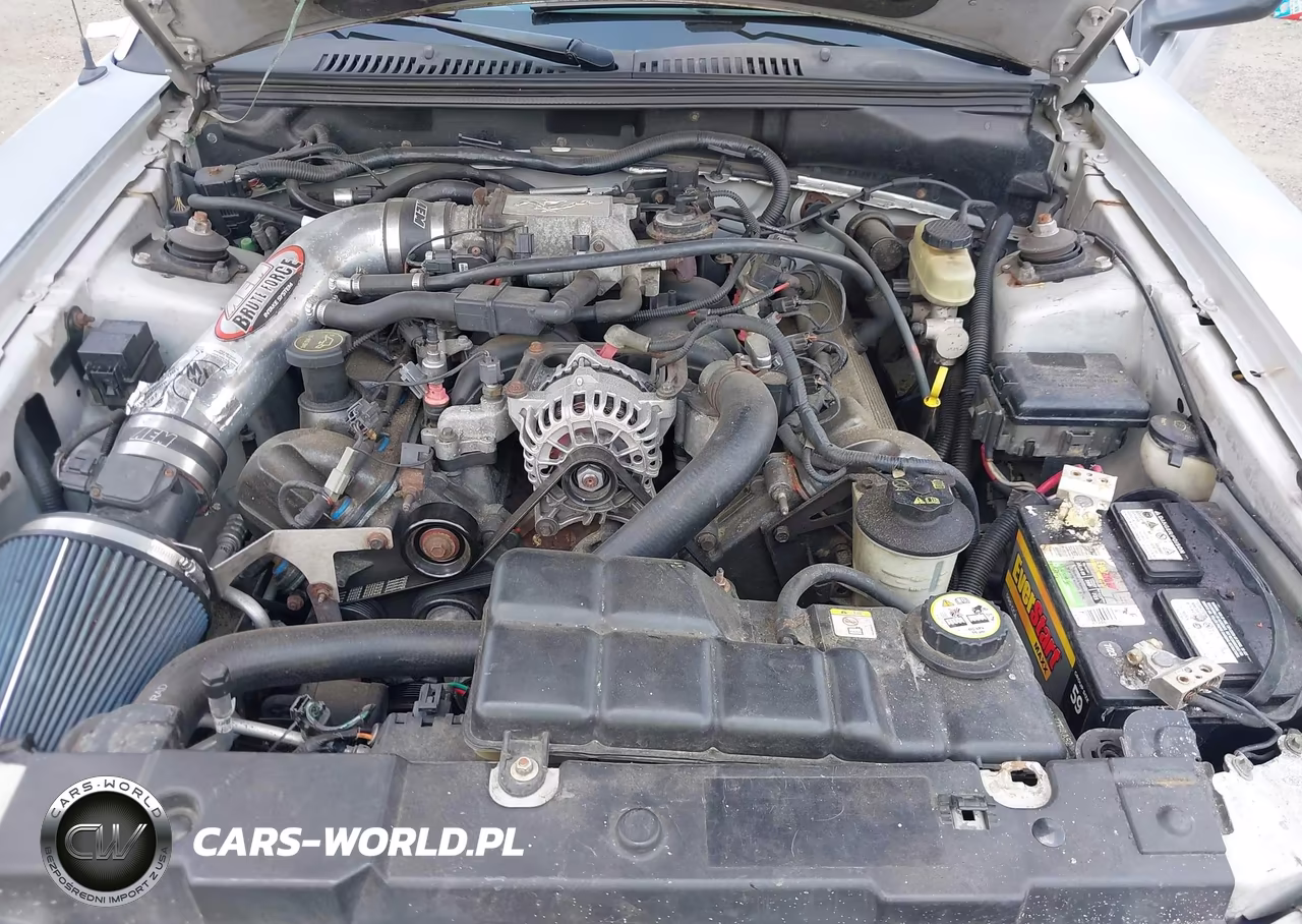 2003 Ford Mustang Gt VIN:1FAFP45X63F348637 - 10