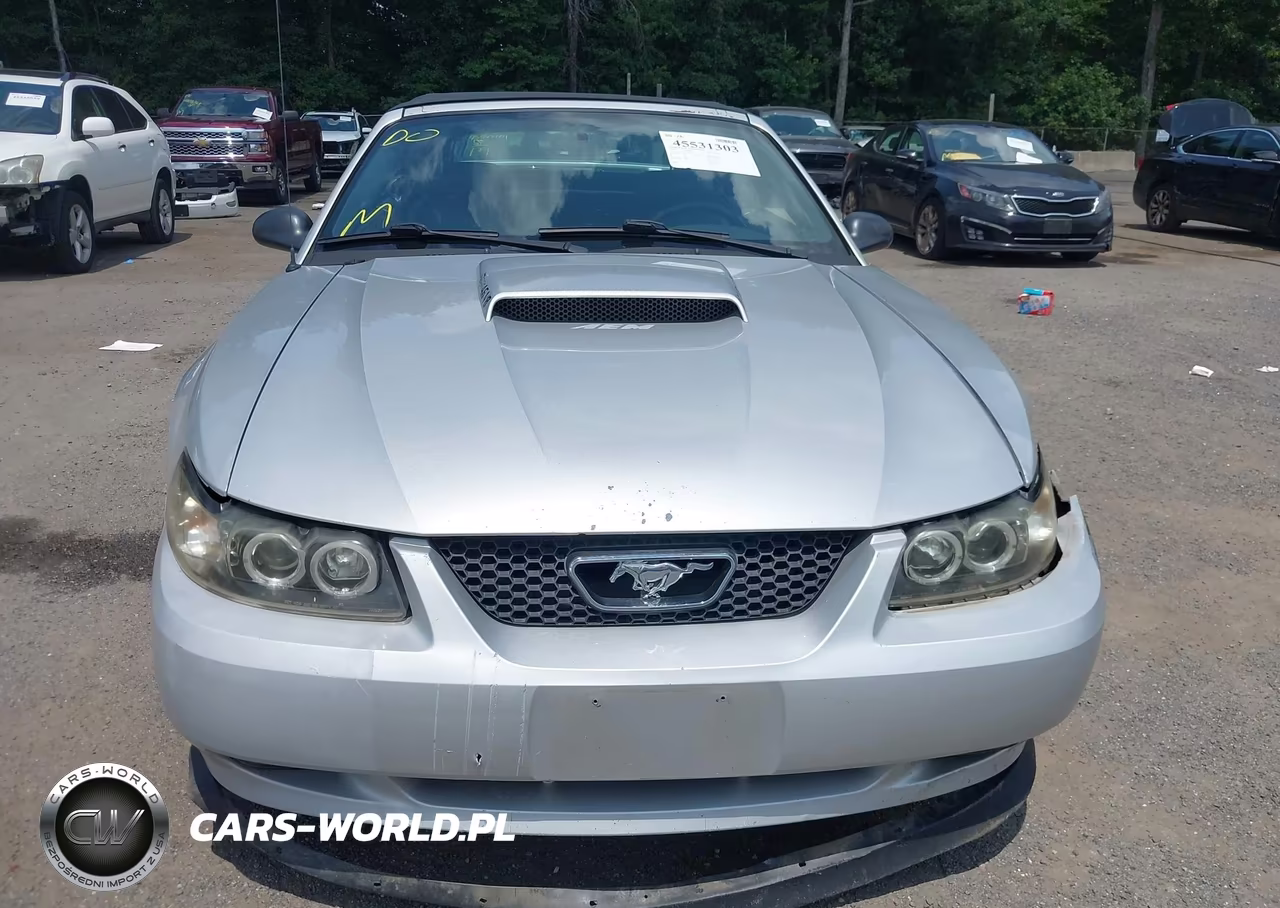 2003 Ford Mustang Gt VIN:1FAFP45X63F348637 - 11
