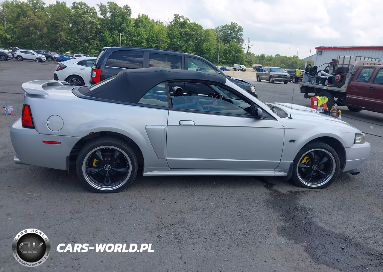 2003 Ford Mustang Gt VIN:1FAFP45X63F348637 - 12