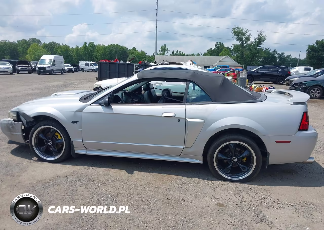 2003 Ford Mustang Gt VIN:1FAFP45X63F348637 - 13