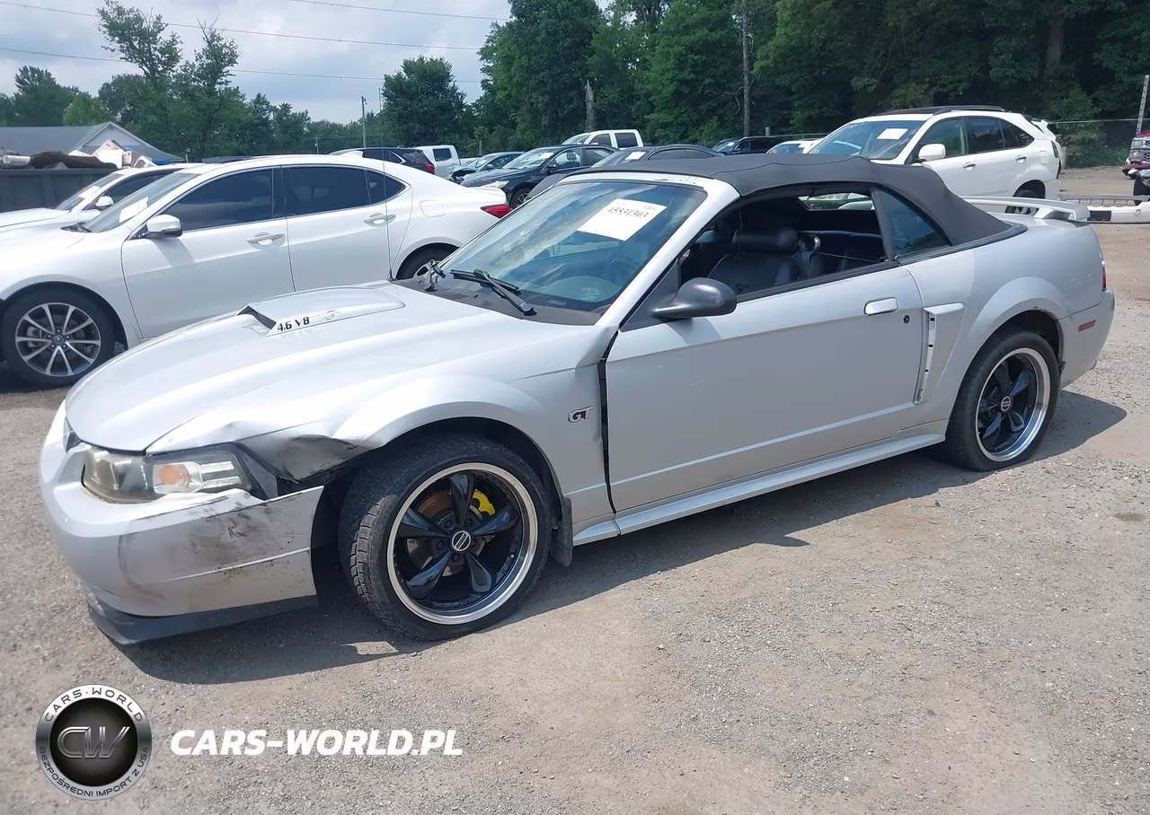 2003 Ford Mustang Gt VIN:1FAFP45X63F348637 - 2