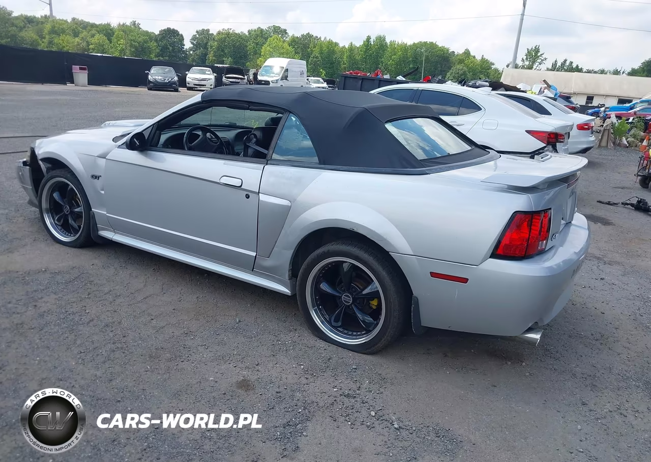 2003 Ford Mustang Gt VIN:1FAFP45X63F348637 - 3