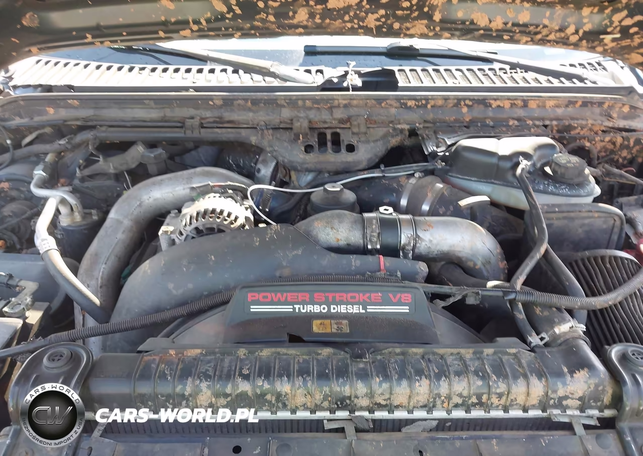 2004 Ford F-350 Lariat-Xl-Xlt VIN:1FTWW33P54EA52669 - 10