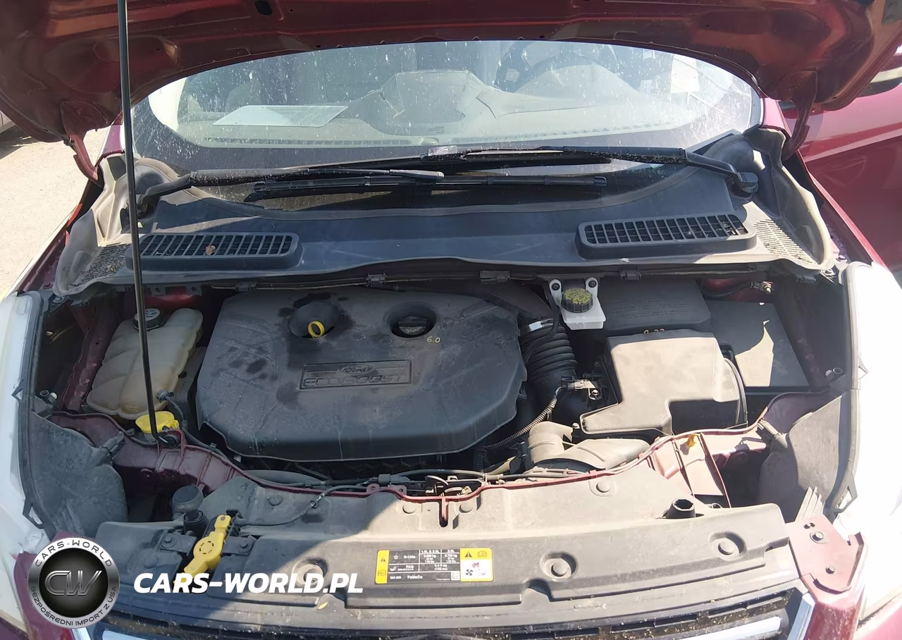 2013 Ford Escape Sel VIN:1FMCU0H94DUD54909 - 10