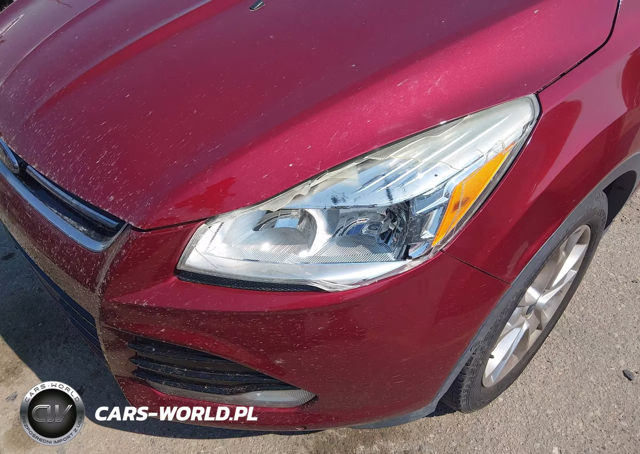 2013 Ford Escape Sel VIN:1FMCU0H94DUD54909 - 6