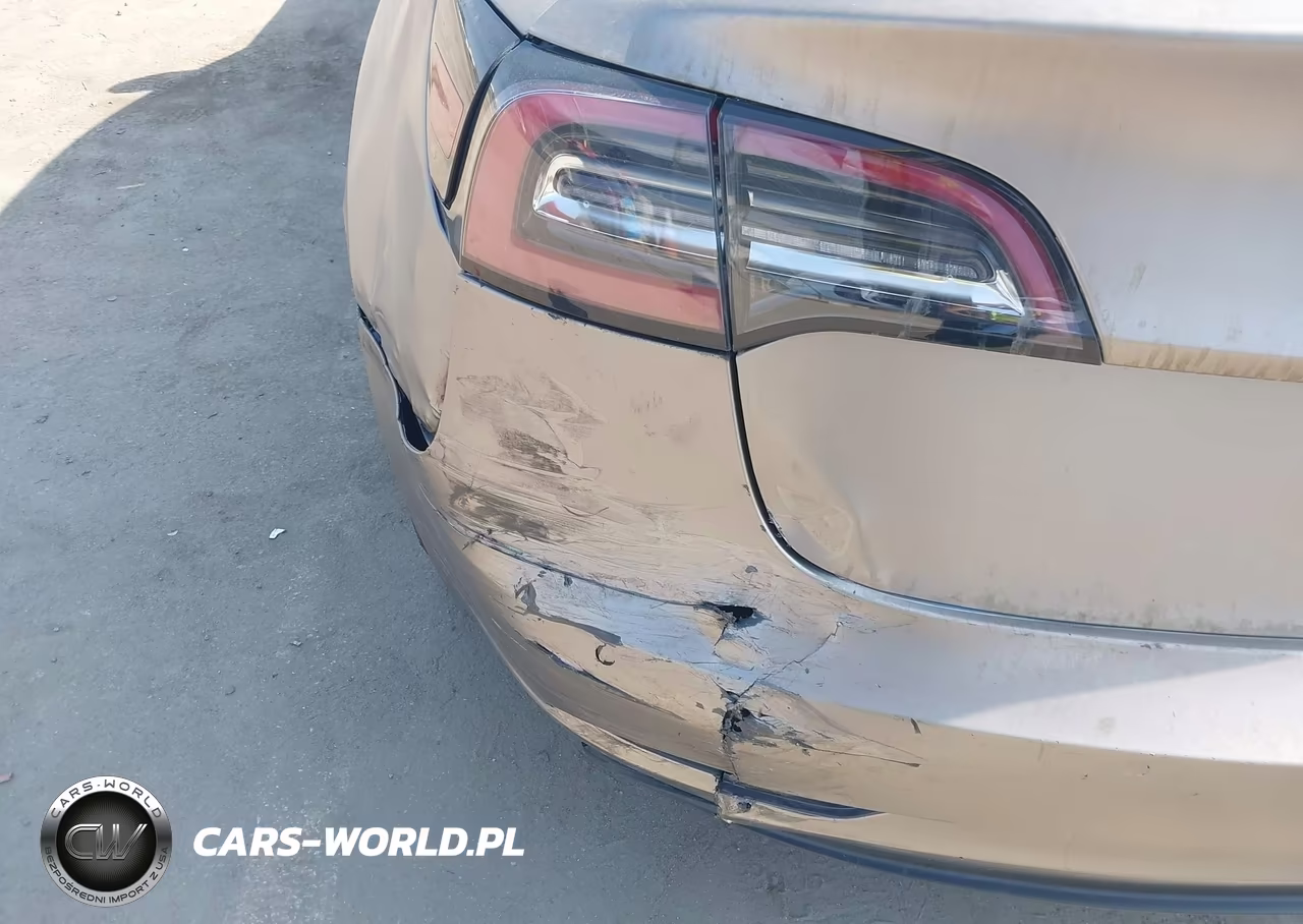 2020 Tesla Model 3 Standard Range Plus Rear-Wheel Drive-Standard Range Rear-Wheel Drive VIN:5YJ3E1EA9LF615643 - 19