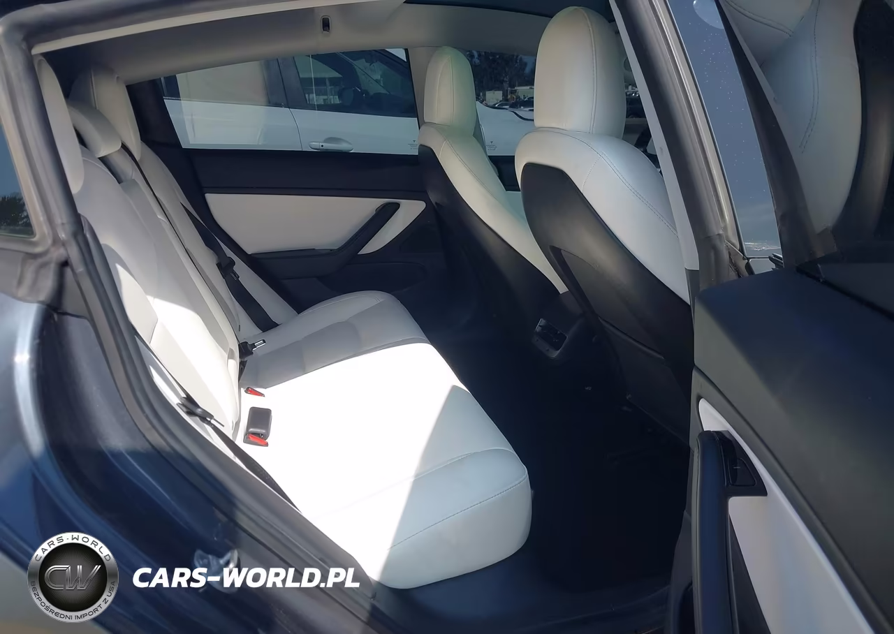 2020 Tesla Model 3 Standard Range Plus Rear-Wheel Drive-Standard Range Rear-Wheel Drive VIN:5YJ3E1EA9LF615643 - 8