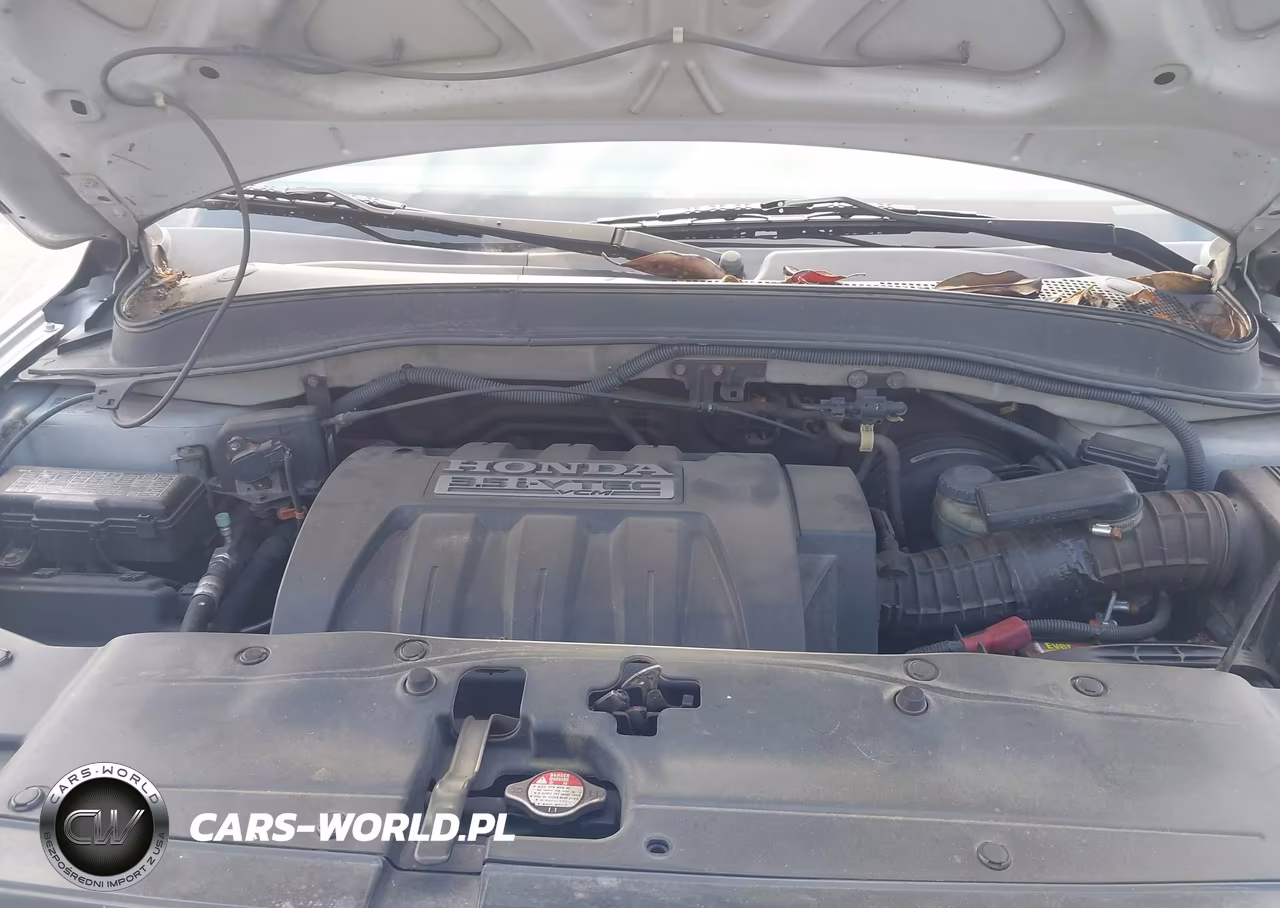 2007 Honda Pilot Ex-L VIN:5FNYF28647B024206 - 10