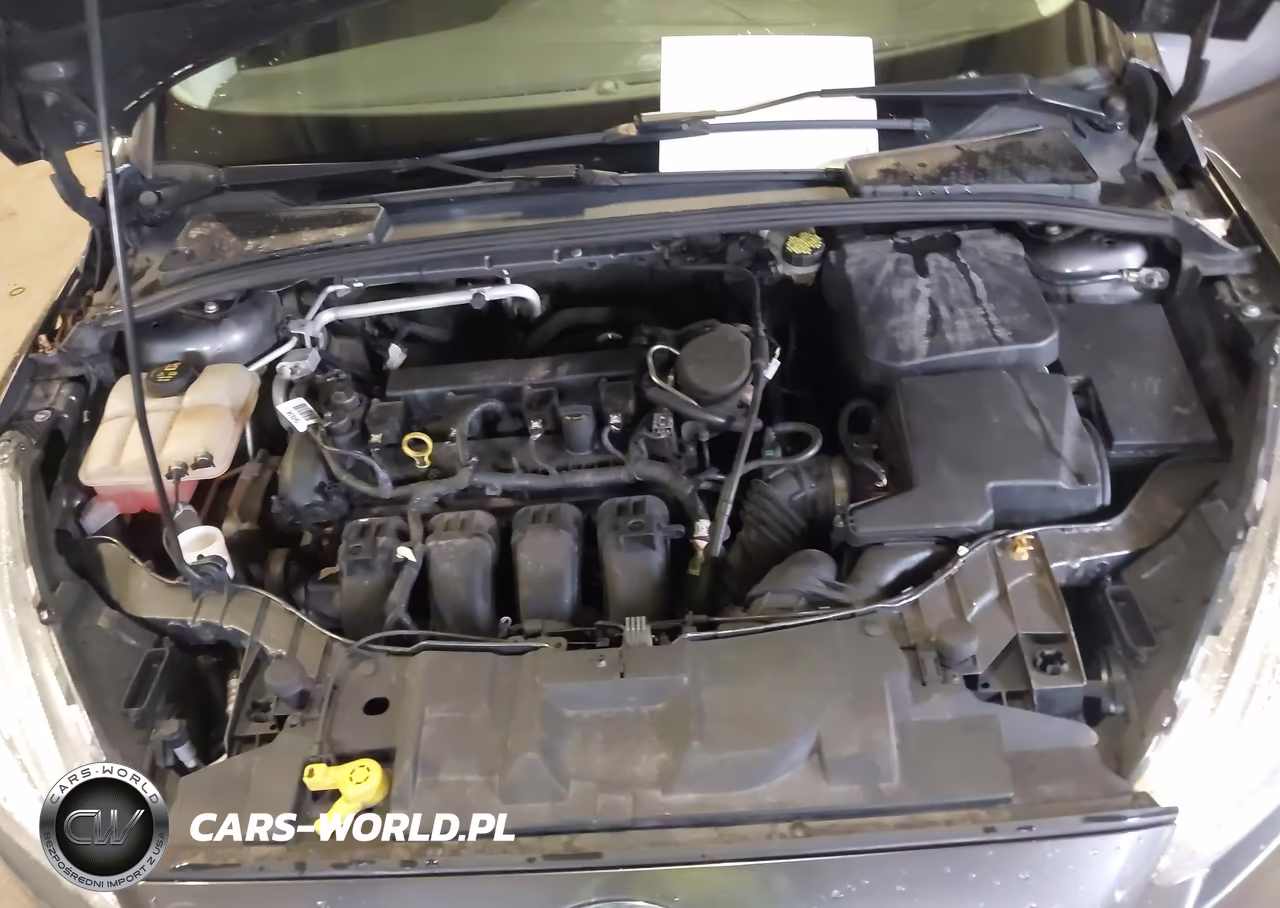 2015 Ford Focus Se VIN:1FADP3F21FL324594 - 10