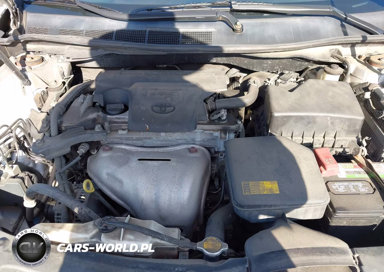 2014 Toyota Camry Se VIN:4T1BF1FKXEU389778 - 10