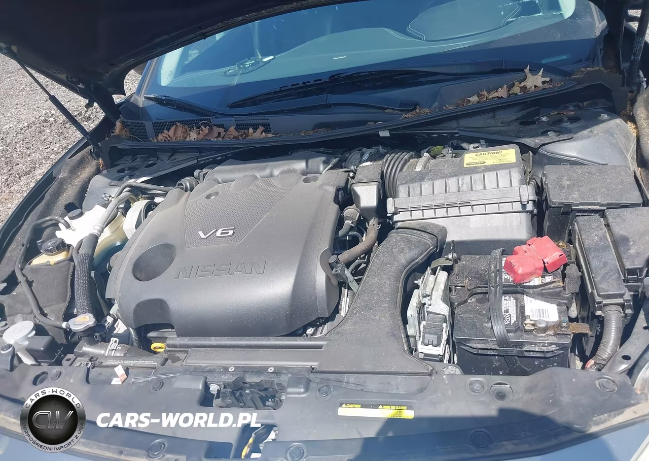 2018 Nissan Maxima 3.5 Sl VIN:1N4AA6APXJC409287 - 10