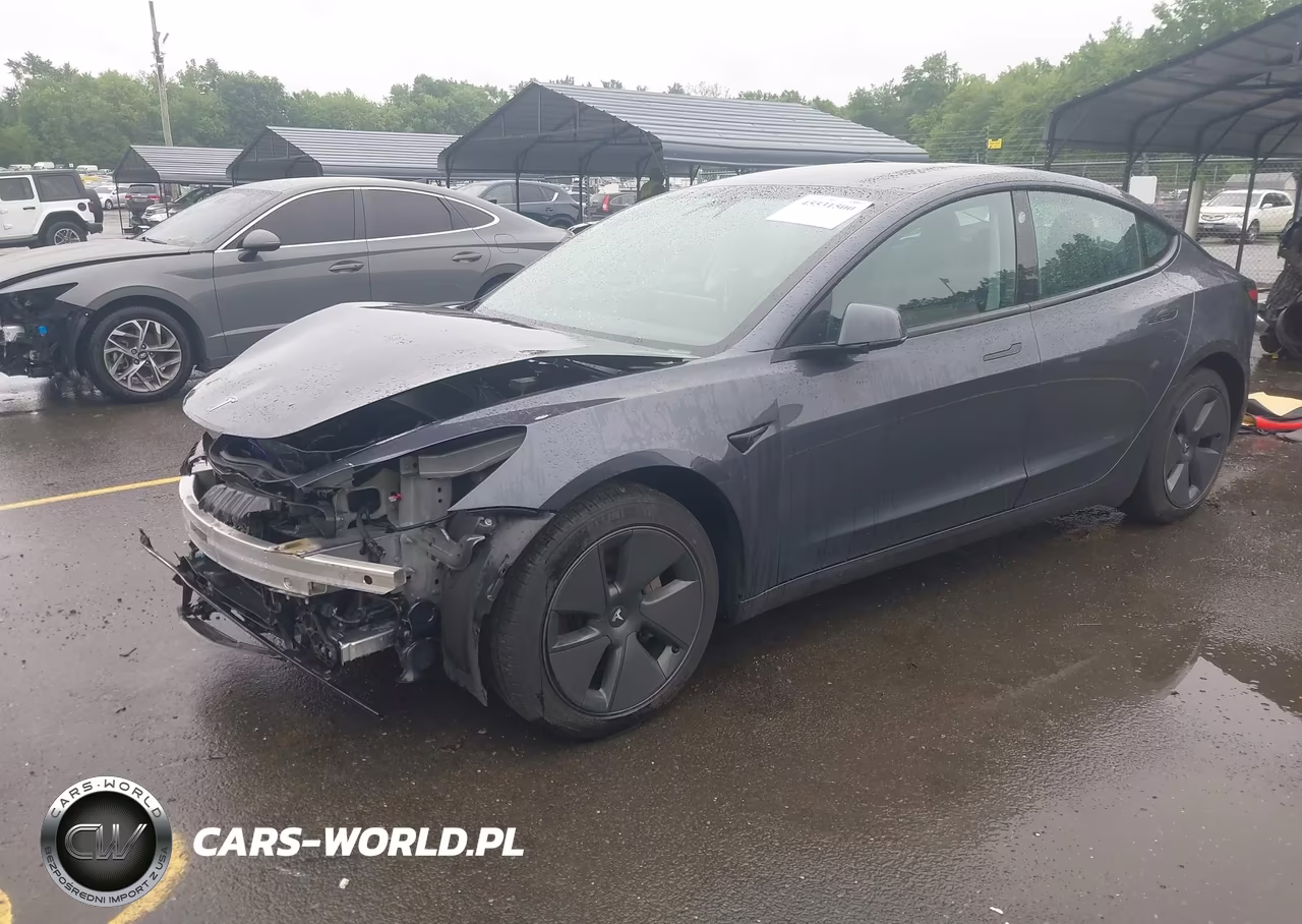 2023 Tesla Model 3 Rear-Wheel Drive VIN:5YJ3E1EA4PF684455 - 2