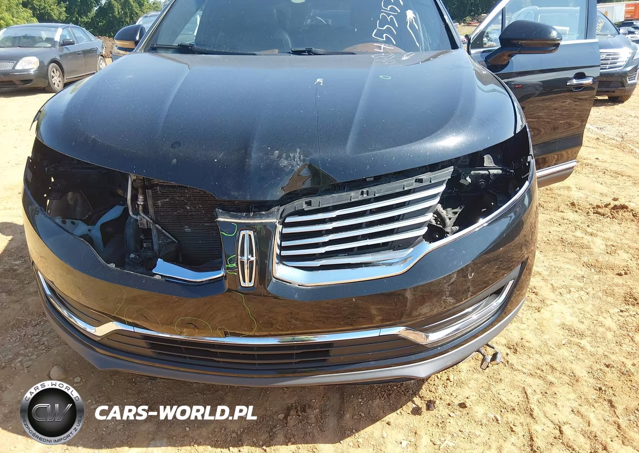 2017 Lincoln Mkx Black Label VIN:2LMPJ9JP0HBL24362 - 6