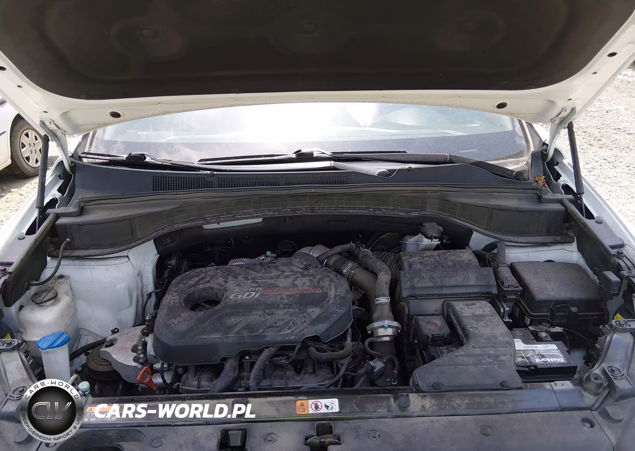 2017 Hyundai Santa Fe Sport 2.0T Ultimate VIN:5XYZW4LA6HG488166 - 10