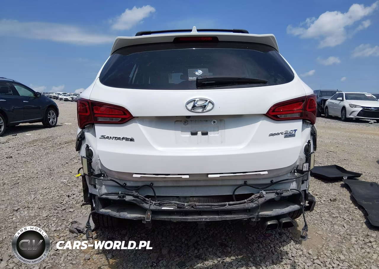 2017 Hyundai Santa Fe Sport 2.0T Ultimate VIN:5XYZW4LA6HG488166 - 6