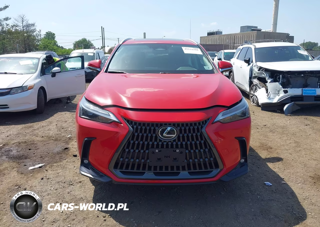 2025 Lexus Nx 350 Premium VIN:2T2GGCEZ6SC082999 - 12