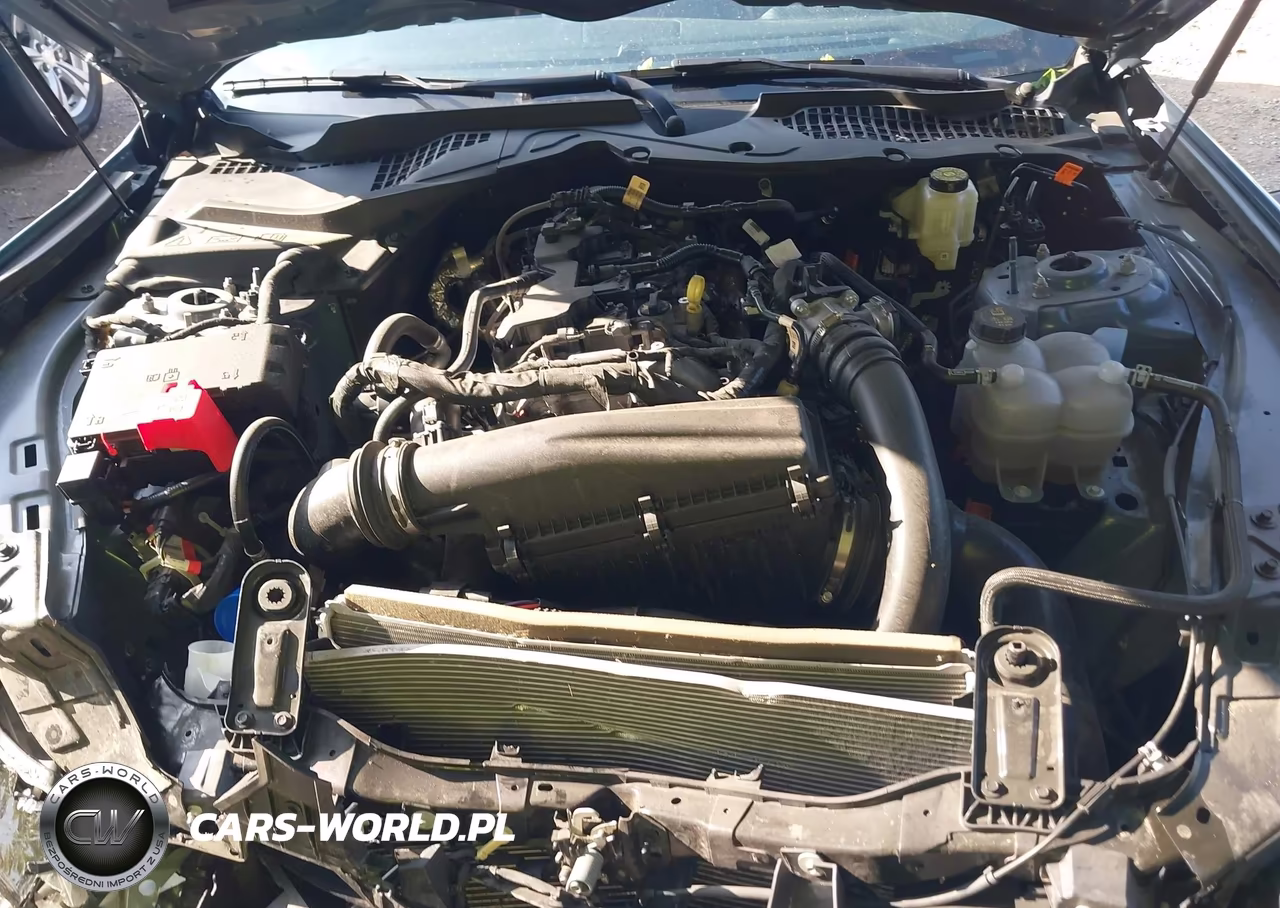 2024 Ford Mustang Ecoboost Fastback VIN:1FA6P8TH2R5136948 - 10