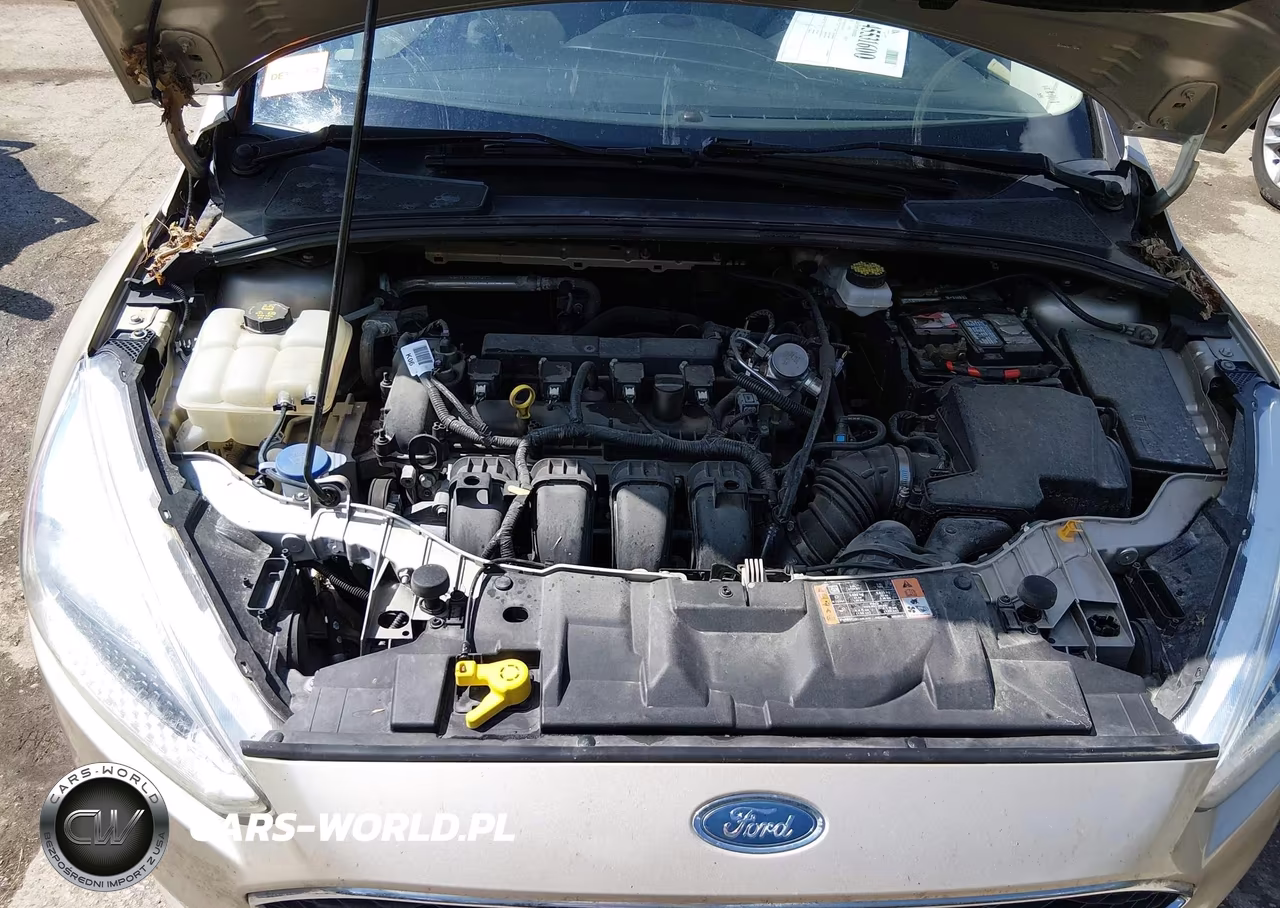 2017 Ford Focus Se VIN:1FADP3F27HL324814 - 10